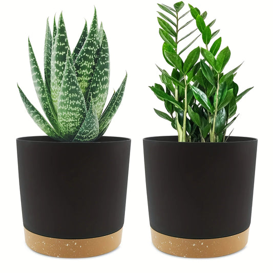 Detachable Planter