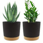 Detachable Planter