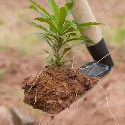 Garden Hoe