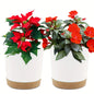Detachable Planter