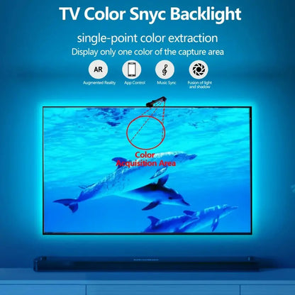 Smart RGBIC Backlight