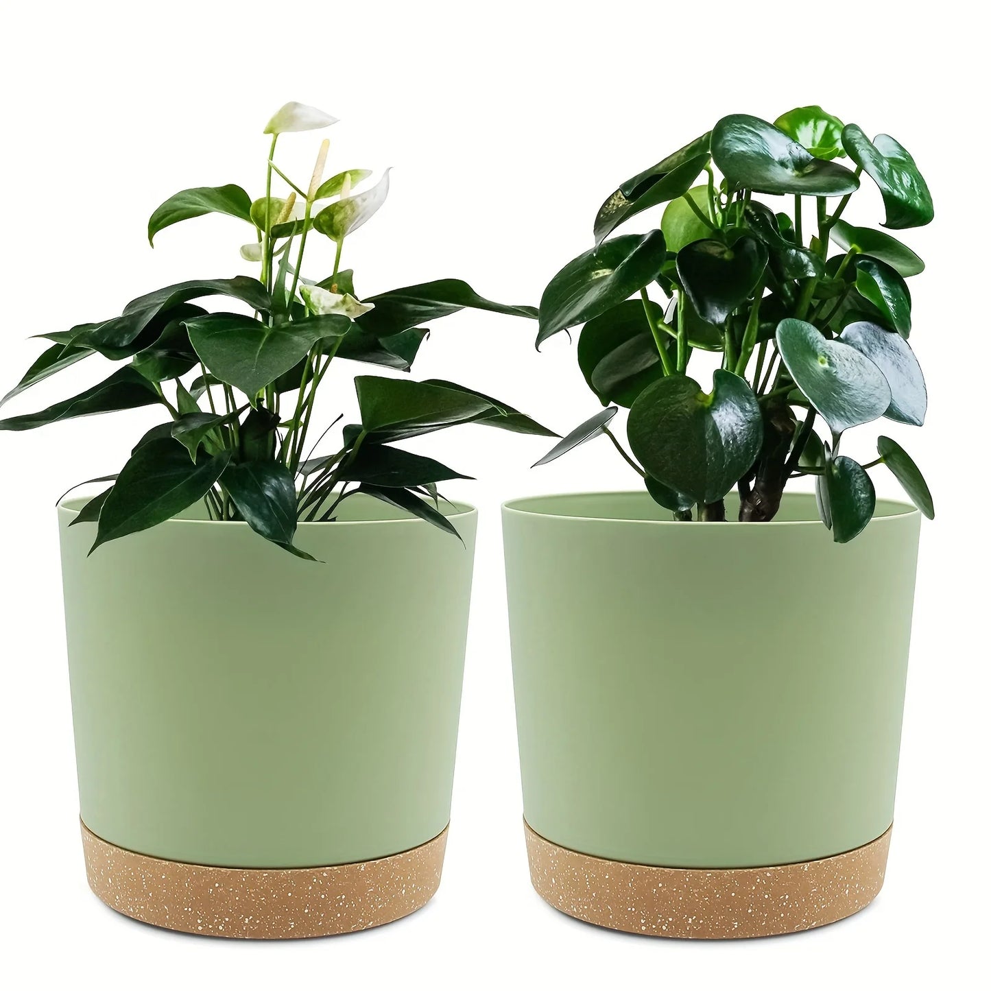Detachable Planter