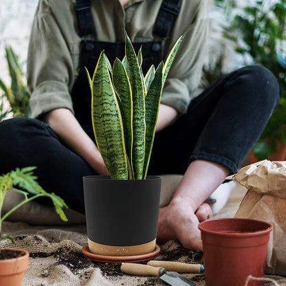 Detachable Planter