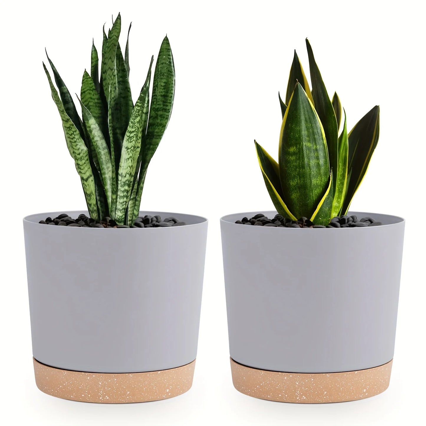 Detachable Planter