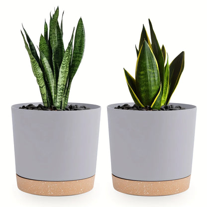 Detachable Planter