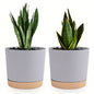 Detachable Planter