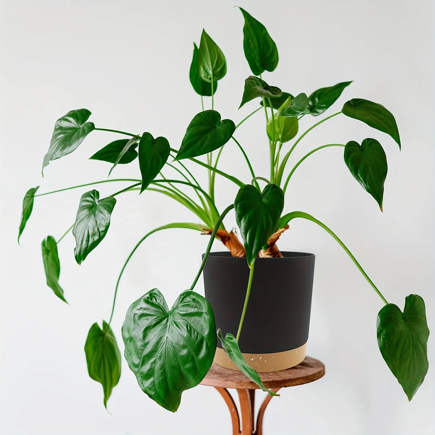 Detachable Planter